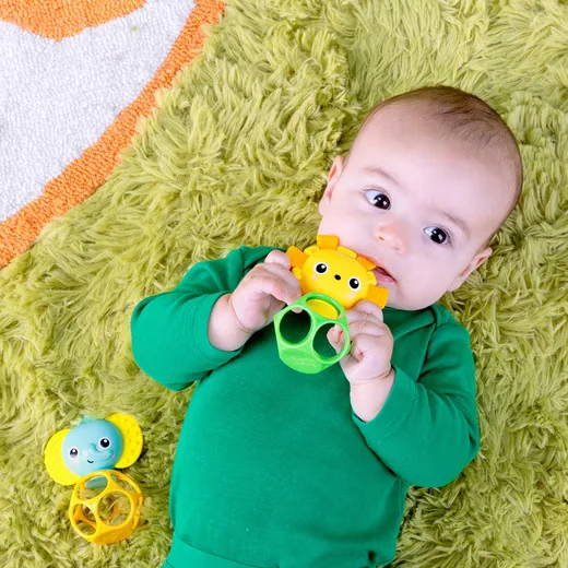 Bright Starts Soother Pals Beißring Greifling