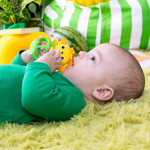 Bright Starts Soother Pals Beißring Greifling